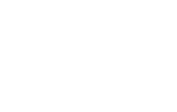 SFM Motor